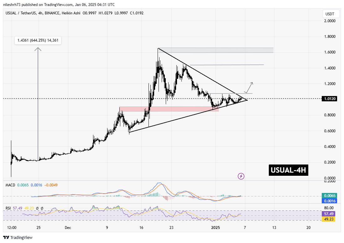 USUAL Chart Analysis